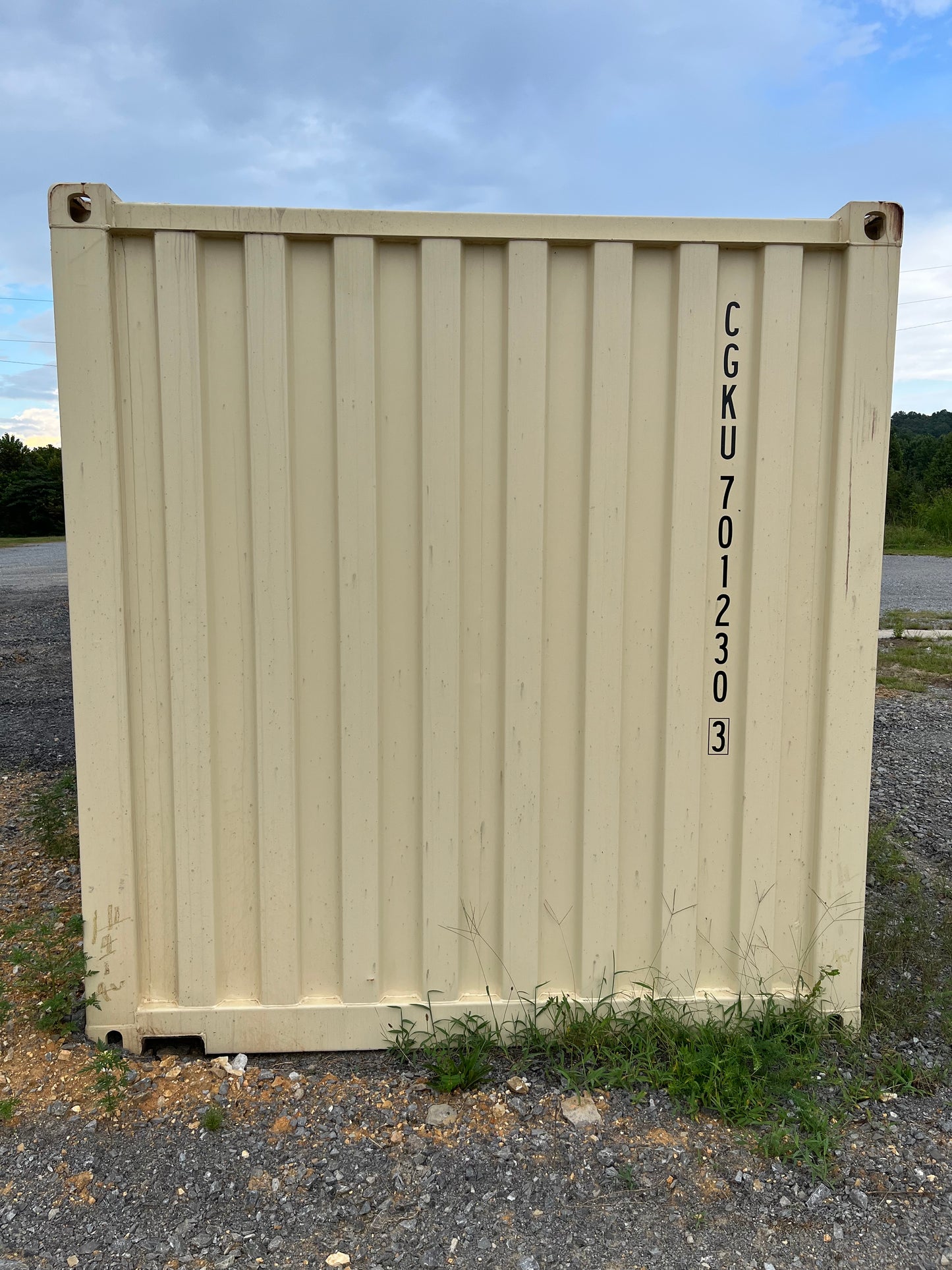 20' New One Trip Container - CGKU 7012303